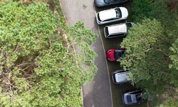 miejsca postojowe z ekokraty N40 PRO wzdłuż drogi przy lesie