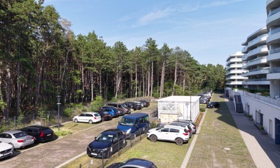 parking przy apartamentach w Rogowie z miejscami postojowymi przy lesie